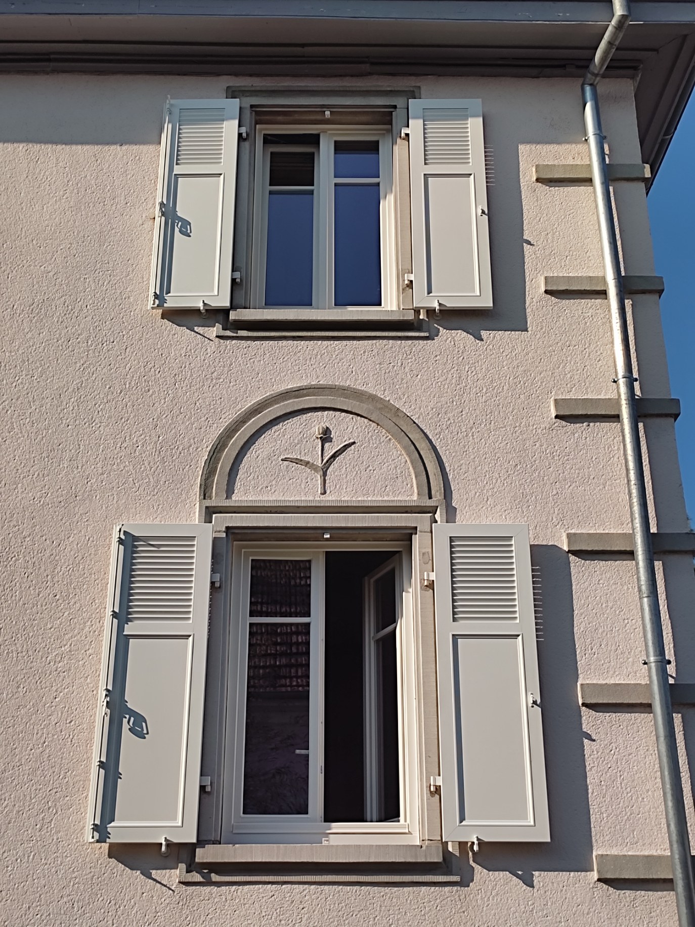 FENETRES-BOIS-COLMAR.jpg