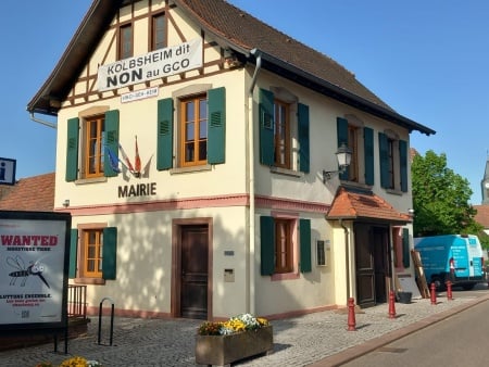 FENETRES-BOIS-KOLBSHEIM.jpg